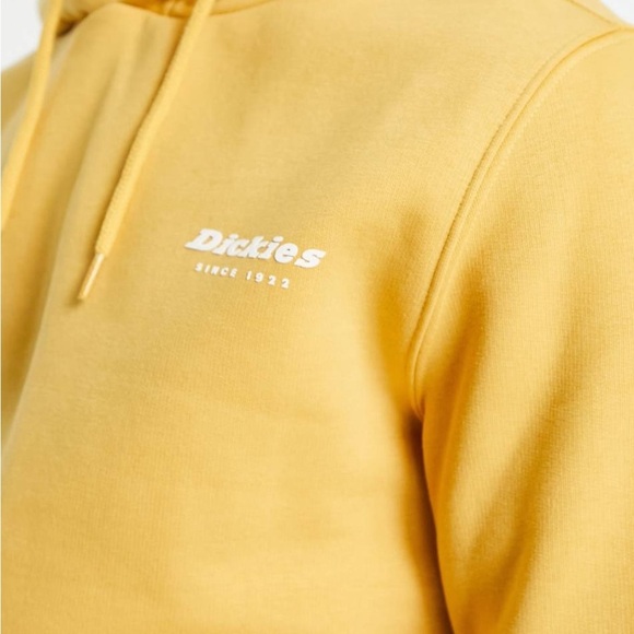 Dickies Men's Camden Box Graphic Hoodie Size Large - NEW WITH TAGS - Picture 4 of 13